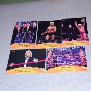 5 2015 Topps WWE Ric Flair Crowd Chants Insert Cards